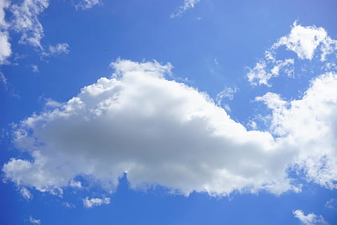 witte cumuluswolken, zomerwolken, hemel, wolken, wit, blauw, zomerdag, wolk - lucht, scenics - natuur, schoonheid in de natuur, cloudscape, zonlicht, natuur, dag, milieu, witte kleur, achtergronden, kalmte, rustige scène, lage hoekweergave, geen mensen, atmosfeer, pluizig, buitenshuis, meteorologie, wind, schoon, 5K, CC0, publiek domein, royaltyvrij