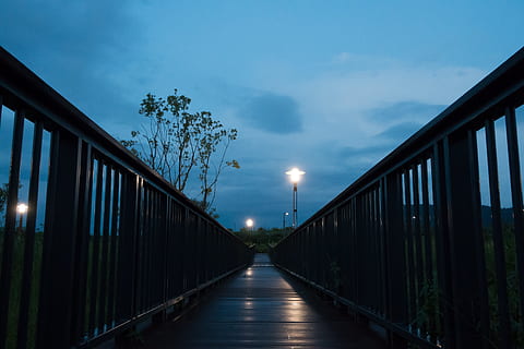 bro, Sky, lys, linje, mønster, afspejling, vej, himmel, gadelampe, gadebelysning, træ, arkitektur, bygget struktur, natur, vejen frem, belyst, plante, forbindelse, retning, ingen mennesker, skumring, rækværk, faldende perspektiv, udendørs, sky - himmel, nat, sti, bro - menneskeskabt struktur, gangbro, 5K, CC0, offentligt domæne, royaltyfrie