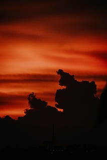 træ silhuet, gylden, time, silhuet foto, træer, Sky, himmel, rød, cloudscape, natur, silhuet, udendørs, solnedgang, solopgang, skyline, betagende, sammensætning, lut, naturlig, tusmørke, aften, træ, landskab, smuk, orange, sky - himmel, skønhed i naturen, orange farve, scenics - natur, rolig scene, ingen mennesker, ro, idyllisk, ikke-urbane scene, miljø, dramatisk himmel, ærefrygt, lav vinkel visning, skumring, 4K, CC0, offentligt domæne, royaltyfrie