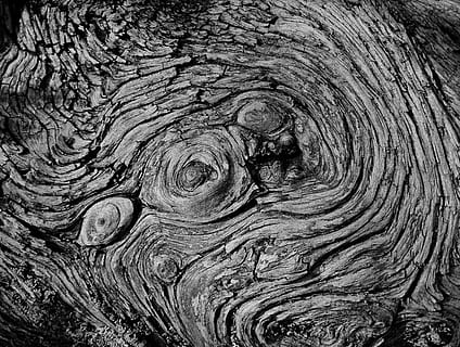 grayscale photography, wood, Tree, Pattern, Black And White, Texture, nature, design, vintage, plant, decoration, old, wooden, forest, rough, natural, surface, close-up, no people, outdoors, concentric, day, backgrounds, textured, full frame, wood - material, natural pattern, tree trunk, trunk, knotted wood, wood grain, bark, tree ring, 2K, CC0, public domain, royalty free