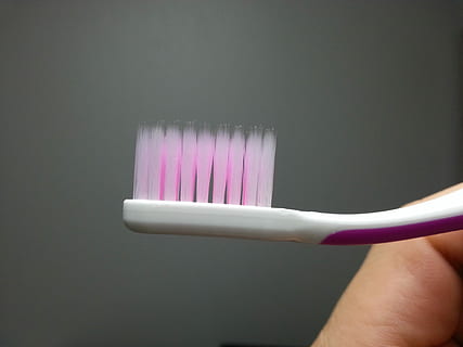 person, holding, pink, white, Toothbrush, Toothpaste, Clean, Mouth, human body part, human hand, one person, hygiene, people, adults only, hand, indoors, body part, studio shot, adult, close-up, finger, human finger, body care, healthcare and medicine, lifestyles, healthy lifestyle, women, purple, 2K, CC0, public domain, royalty free