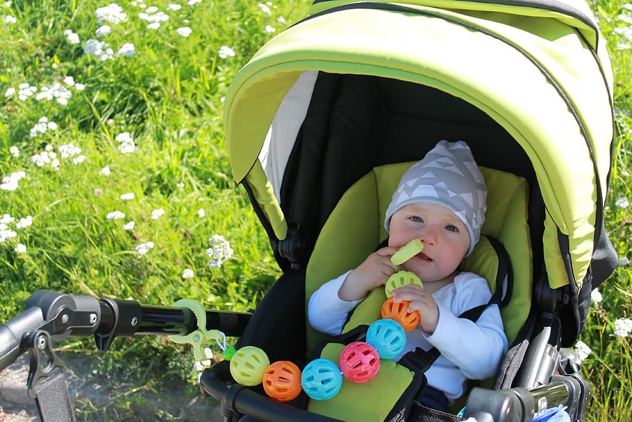 barnevogn, spadseretur, søn, dreng, legetøj, affjedring, solrig, greens, parkere, barndom, barn, en person, portræt, fritidsaktivitet, kigger på kameraet, nuttet, uskyld, babyhood, dag, baby, forfra, livsstil, lille barn, natur, rigtige mennesker, plante, ung, udendørs, 4K