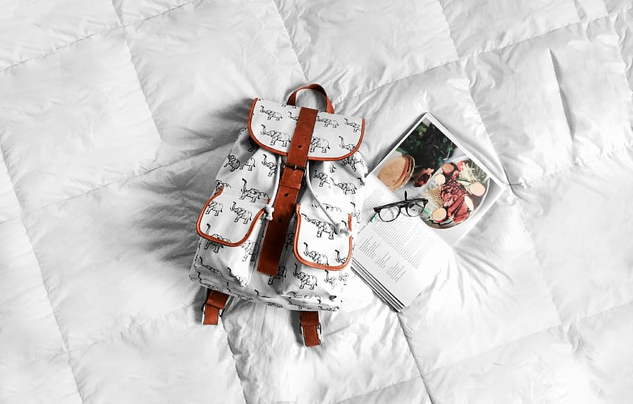 blanc, marró, bossa de pell, llit, motxilla, al costat, llibre de cuina, vidre, llibre, bossa, recepta, cobrellit, llibre de receptes, sac, nòrdic, revista, elefant, cuir, vista d’angle alt, dormitori, a l'interior, mobles, Color blanc, tèxtil, habitació domèstica, cap gent, arrugat, directament a sobre, full, natura morta, paper, roba de llit, hivern, coixí, neu, estirat, dia, 4K