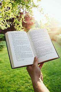 man reading, book, outdoors, Man, reading, hands, outdoor, outside, sunny, literature, religion, bible, christianity, spirituality, religious Text, human Hand, praying, people, grass, holding, text, publication, hand, human body part, plant, real people, one person, paper, education, leisure activity, nature, personal perspective, activity, day, finger, 5K