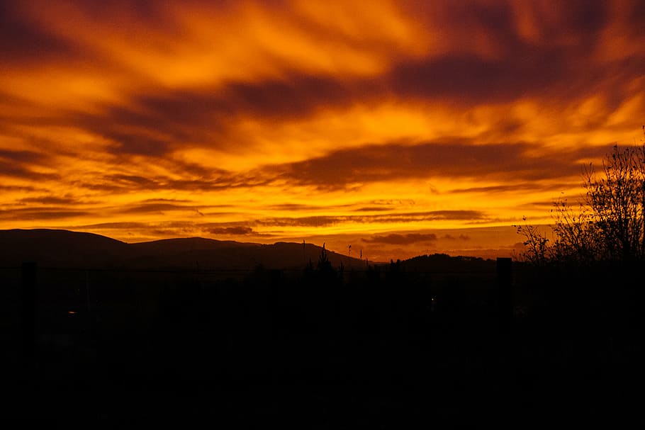 temps, caduc, silueta de fotografia, planta, silueta, muntanyes, posta de sol, alba, fosc, nit, taronja, cel, cel dramàtic, escenics, majestuós, naturalesa, color taronja, núvol - cel, escena tranquil·la, bellesa a la natura, escenics - natura, cap gent, paisatge, tranquil·litat, medi ambient, idíl·lic, a l'aire lliure, muntanya, ominós, 2K