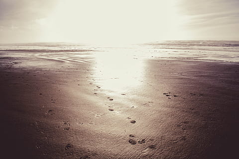 Strandsand, Strand, Sand, Meer, Wasser, Sonnenuntergang, Natur, szenen, Land, Horizont, Horizont über Wasser, Szenen - Natur, Schönheit in der Natur, Himmel, Ruhe, ruhige Szene, Fußabdruck, keine Leute, idyllisch, Bewegung, draußen, Welle, 5K, CC0, gemeinfrei, lizenzfrei