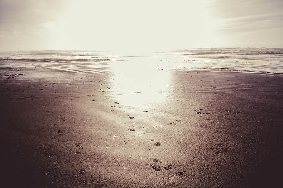 Strandsand, Strand, Sand, Meer, Wasser, Sonnenuntergang, Natur, szenen, Land, Horizont, Horizont über Wasser, Szenen - Natur, Schönheit in der Natur, Himmel, Ruhe, ruhige Szene, Fußabdruck, keine Leute, idyllisch, Bewegung, draußen, Welle, 5K