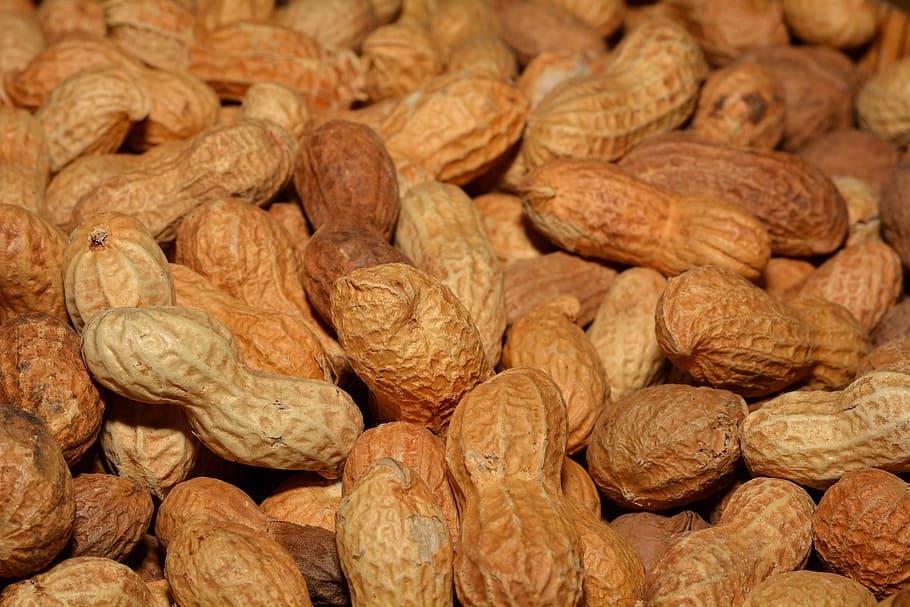 pila de cacauets, cacauets, saludable, shell, deliciós, nutrició, tancar, menjar i beguda, menjar, gran grup d'objectes, marc complet, nou, abundància, benestar, frescor, nou - aliments, primer pla, fons, alimentació saludable, marró, cap gent, natura morta, a l'interior, closca de nou, aliments secs, Fruits secs, venda al detall, berenar, 5K