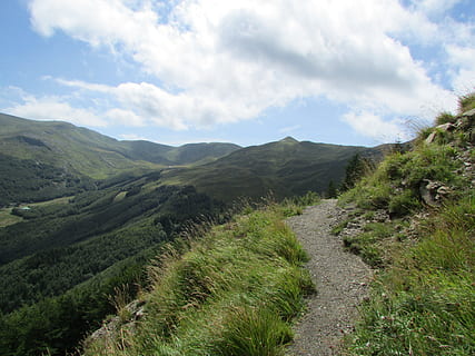 verd, herba, blanc, núvols, durant el dia, ruta, tranquil·litat, silenci, muntanya, naturalesa, muntanyes, meditació, relaxació, paisatge, cel, bosc, caminar, trekking, clar, blau, núvol - cel, bellesa a la natura, planta, escena tranquil·la, escenics - natura, medi ambient, escena no urbana, dia, cap gent, color verd, arbre, creixement, idíl·lic, terra, a l'aire lliure, paisatge rodant, 4K, CC0, domini públic, lliure de regalies