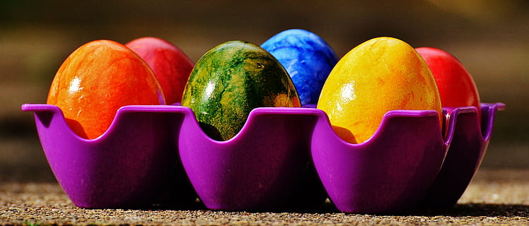 six, assorted-color eggs, purple, plastic tray, easter, easter eggs, colorful, happy easter, egg, colored, color, multi colored, variation, no people, close-up, fruit, freshness, day, healthy eating, indoors, food and drink, food, vegetable, choice, wellbeing, group of objects, focus on foreground, orange color, still life, in a row, outdoors, green color, snack, vegetarian food, 5K, CC0, public domain, royalty free