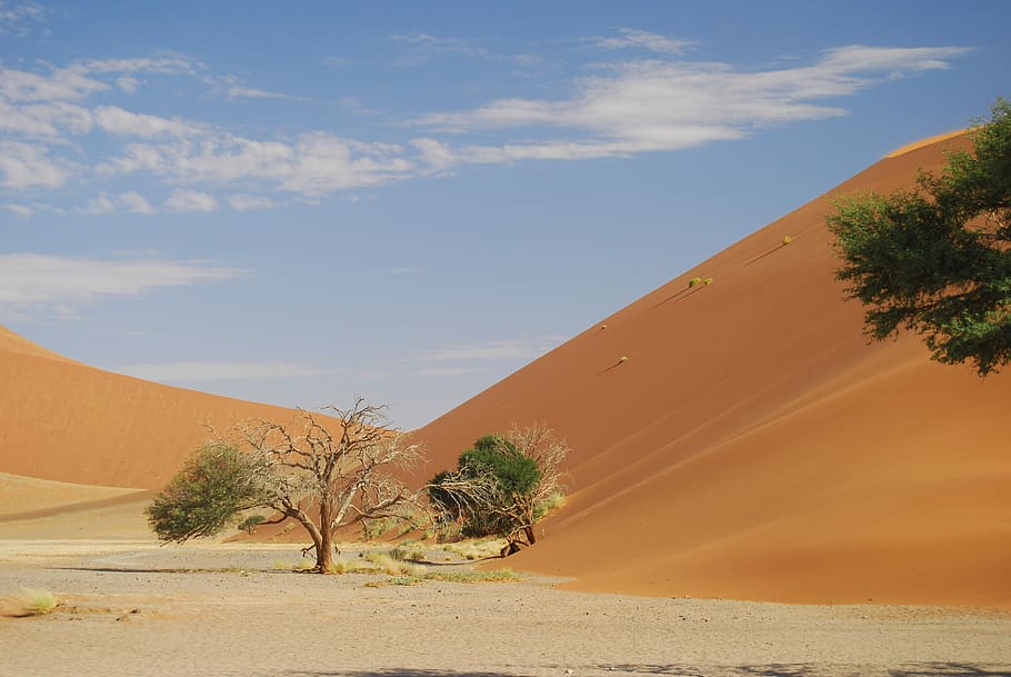 namibia, desert, sorra, sossusvlei, desert, sorra, Àfrica, duna, naturalesa, sec, sorra de rotor, arbres morts, cel, vermell, blau, clima àrid, paisatge, duna de sorra, escenics, arbre, escenics - natura, terra, escena tranquil·la, bellesa a la natura, tranquil·litat, clima, planta, escena no urbana, núvol - cel, medi ambient, dia, remot, cap gent, 4K