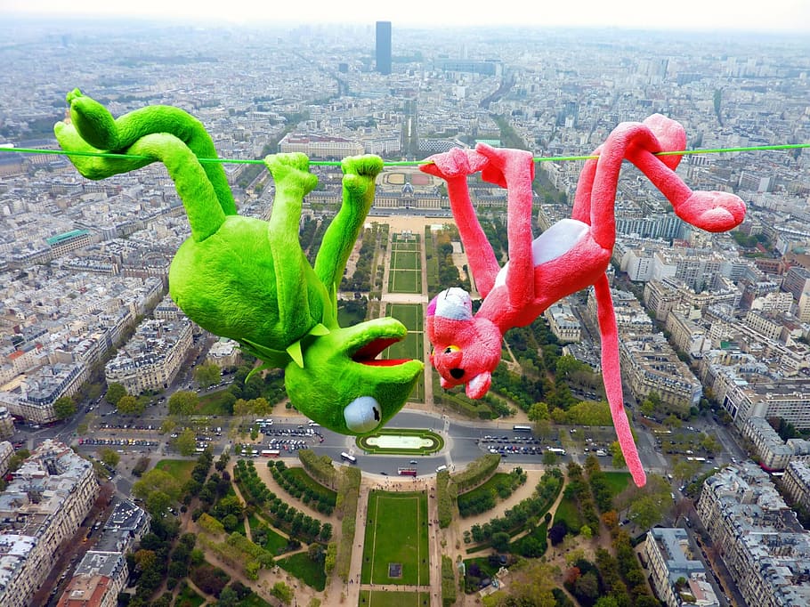 rosa, pantera, Kermit, rana, sospeso, corda, corde alte, altezza, dipendere, la Pantera Rosa, animali imbalsamati, città, paesaggio urbano, destinazioni di viaggio, architettura, giorno, all'aperto, nessuno, vista aerea, struttura costruita, esterno dell'edificio, natura, acqua, colore verde, rosso, volante, costruzione, cielo, paesaggio, vista dall'alto, rappresentazione animale, edificio per uffici esterno, composito digitale, grattacielo, 1080P