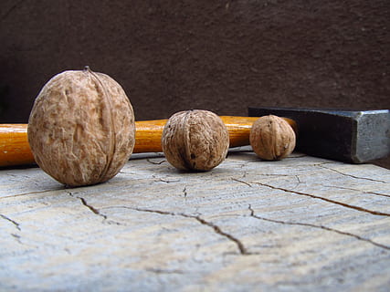 walnut, nut, seed, brown, food, organic, nutshell, food and drink, wood - material, wellbeing, close-up, healthy eating, still life, freshness, table, no people, indoors, selective focus, vegetable, day, copy space, fruit, nature, 4K, CC0, public domain, royalty free