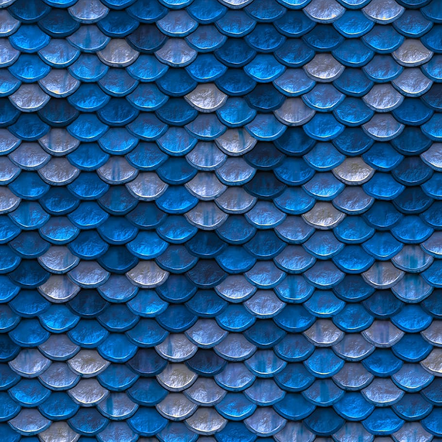 detailní, fotografie, modrý, šedá, měřítko tapety, obrázek na pozadí, stupnice, barva, kovový, vzor, pozadí, celý rám, nikdo, den, opakování, stálý život, detail, uspořádání, hojnost, geometrický tvar, venku, velká skupina objektů, tvar, kruh, v řadě, bok po boku, texturou, 1080P