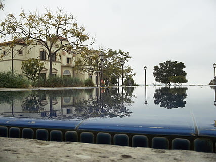 piscina, arbre, edifici del campus, estructura construïda, exterior de l'edifici, planta, cel, arquitectura, aigua, naturalesa, dia, cap gent, edifici, en fila, a l'aire lliure, reflexió, ciutat, davant del mar, llac, barri residencial, 4K, CC0, domini públic, lliure de regalies