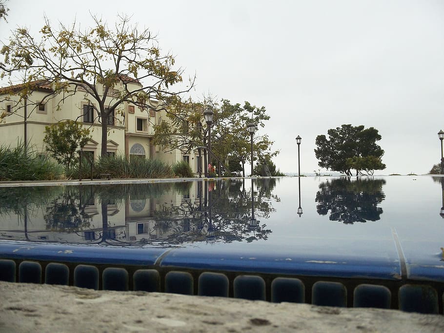 piscina, arbre, edifici del campus, estructura construïda, exterior de l'edifici, planta, cel, arquitectura, aigua, naturalesa, dia, cap gent, edifici, en fila, a l'aire lliure, reflexió, ciutat, davant del mar, llac, barri residencial, 4K