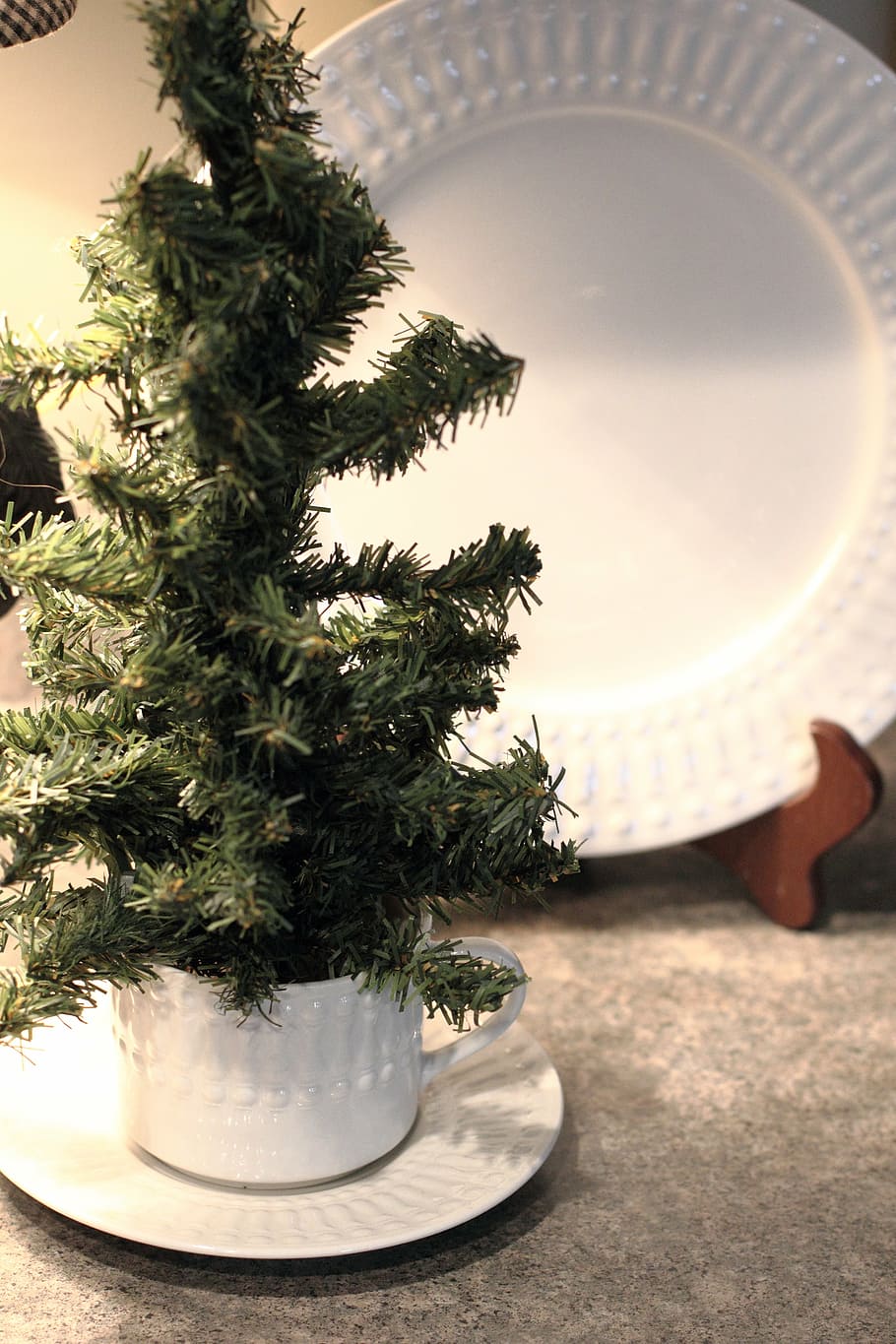 Navidad, pino, árbol, invierno, decoración, vacaciones, temporada, verde, ornamento, diciembre, abeto, planta, planta en maceta, nadie, naturaleza, adentro, crecimiento, mesa, color verde, de cerca, árbol de Navidad, día, enfoque selectivo, hoja, parte de la planta, transparente, vajilla, planta de casa, mantel individual, 5K