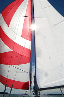 zeilen, maui, wind, rood, vervoer, zonlicht, wijze van transport, dag, lage hoekweergave, canvas, natuur, buitenshuis, textiel, sport, witte kleur, geen mensen, nautisch schip, zeilboot, zon, Lens flare, avontuur, zonnig, vrijetijdsbesteding, 2K, CC0, publiek domein, royaltyvrij