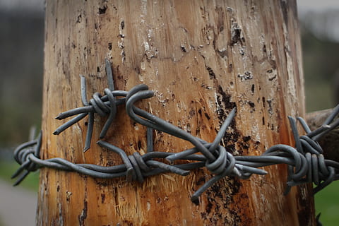 ostnatý drát, pošta, drát, špičatý, plotu post, hromada, hromadu dřeva, bezpečnost, detail, nikdo, ochrana, den, venku, kov, bezpečnostní, plot, hranice, zaměřit se na popředí, bariéra, řetěz, dřevo - materiál, selektivní zaměření, síla, rezavý, svázaný, spojení, železo - kov, dřevěný sloupek, 4K, CC0, veřejná doména, bez autorských práv