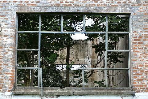 okno, Dom, drzewo, opuszczony, elektrownia, opuszczony dom, strach, mato, dach, zbudowana struktura, architektura, na zewnątrz budynku, budynek, roślina, dzień, żadnych ludzi, szkło - materiał, odbicie, na dworze, cegła, Ściana, Zamknięte, ceglana ściana, przezroczysty, Natura, rama okienna, 5K, CC0, domena publiczna, darmowe zdjęcia