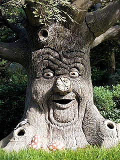 Marrone, albero, faccia opere d'arte, Efteling, foresta incantata, tema, viso, personaggio, pianta, arte e artigianato, giorno, natura, avvicinamento, scultura, nessuno, erba, fauna selvatica, rappresentazione, crescita, ritratto, mestiere, terra, all'aperto, mammifero, un animale, 2K, CC0, dominio pubblico, privo di copyright