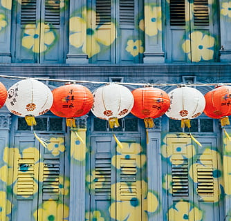 lanterna cinese, sospeso, finestre, Lanterna di carta, floreale, dipinto, struttura, colori, Chinatown, Singapore, lanterna, lampada, colore, otturatore, Asia, culture, cina - asia orientale, cultura cinese, cultura dell'est asiatico, architettura, lampada elettrica, sicurezza, di fila, industria, nessuno, fotogramma intero, concentrarsi sulle conoscenze acquisite, fianco a fianco, giallo, struttura costruita, attrezzatura per l'illuminazione, giorno, comunicazione, all'aperto, corda, rosso, blu, grande gruppo di oggetti, ripetizione, attrezzatura, costruzione, 4K, CC0, dominio pubblico, privo di copyright