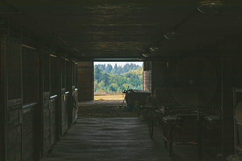 grange vide, la photographie, vide, Grange, stable, ferme, des boites, foncé, de mauvaise humeur, regarder dehors, à l'intérieur, architecture, personne, journée, structure construite, la voie à suivre, chambre domestique, la fenêtre, la nature, direction, industrie, transport, bâtiment, arbre, vue arrière, plante, abandonné, entrepôt, empiler, plafond, 5K, CC0, domaine public, libre de droits