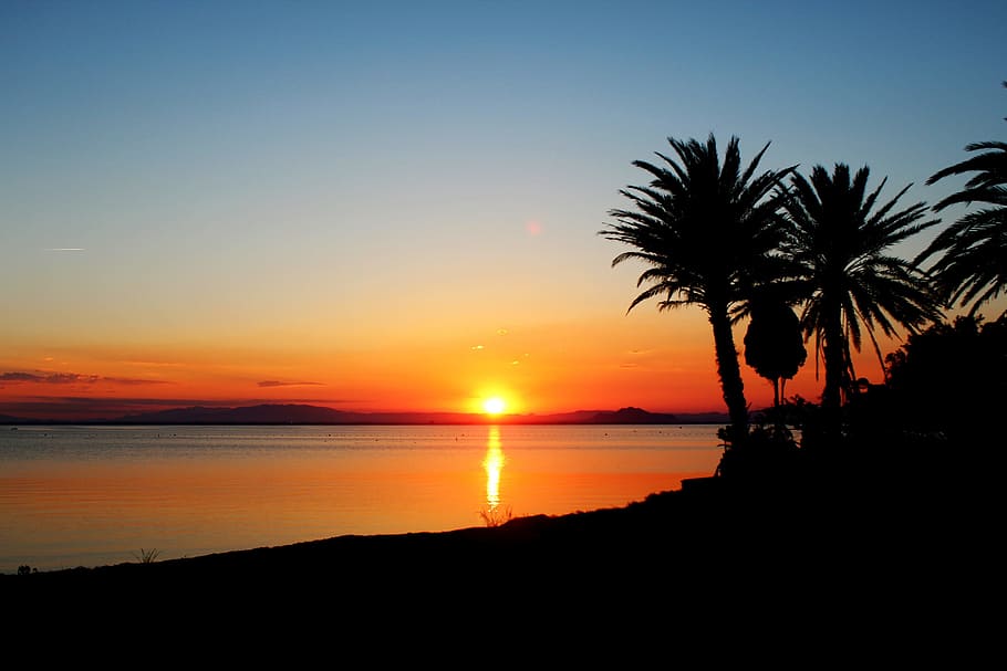 posta de sol, màniga, inferior mar, cel, silueta, aigua, bellesa a la natura, escenics - natura, Palmera, escena tranquil·la, clima tropical, tranquil·litat, arbre, mar, color taronja, reflexió, planta, idíl·lic, platja, naturalesa, horitzó, horitzó sobre l’aigua, cap gent, sol, a l'aire lliure, palmera de coco, fulla de palma, 2K