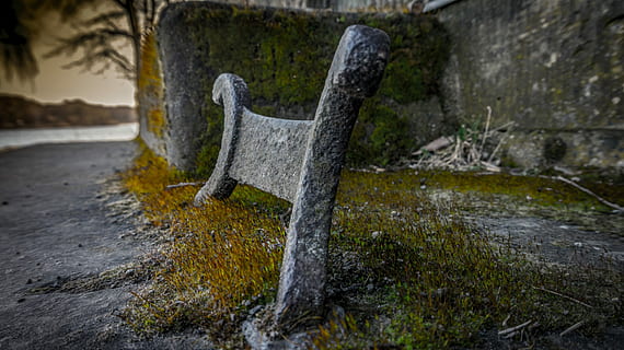 naturalesa, pedra, ferro, vell, molsa, cap gent, planta, dia, art i artesania, sòlid, a l'aire lliure, làpida, centrar-se en primer pla, arbre, herba, tomba, cementiri, terra, aigua, primer pla, tronc, tronc de l'arbre, material de pedra, 5K, CC0, domini públic, lliure de regalies