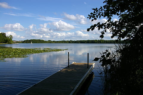 cielo, nuvole, bacino, acqua, lago, Minnesota, midwest, nuvole di cielo blu, estate, nuvole di cielo, natura, cielo nuvole, Cloudscape, luce del sole, soffice, paesaggio, panoramico, darsena, ninfea, albero, pianta, la tranquillità, scenics - natura, bellezza nella natura, nuvola - cielo, scena tranquilla, giorno, legno - materiale, riflessione, nessuno, molo, scena non urbana, all'aperto, 2K, CC0, dominio pubblico, privo di copyright