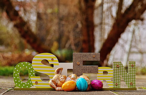 Osterhasen-Dekor, Ostern, Ei, bunt, Hase, Frohe Ostern, bunte Eier, Ostereier, Osterdekorationen, Osterei, Ostergruß, Spaß, Dekoration, Spielzeug, mehrfarbig, keine Leute, Tabelle, Darstellung, Variation, Essen und Trinken, Kunst und Handwerk, Natur, Fokus auf den Vordergrund, Wahl, Lebensmittel, Tag, Holz - Material, Kreativität, Tierdarstellung, Teddybär, Herbst, 5K, CC0, gemeinfrei, lizenzfrei