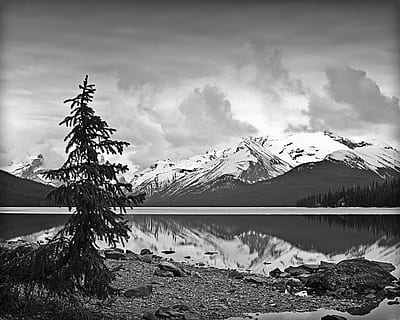 banff alberta, hegy, fenyőfa, víz, felhő - ég, ég, nyugalom, hó, szépség a természetben, tó, nyugodt jelenet, festmények - természet, természet, téli, hideg hőmérséklet, nem ember, snowcapped hegy, nap, fa, visszaverődés, szabadban, 5K, CC0, közkincs, jogdíjmentes