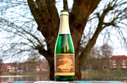 Flasche, Champagner, leeren, Baum, grüne Farbe, Alkohol, Fokus auf den Vordergrund, Getränk, Pflanze, keine Leute, Tag, Natur, Kofferraum, Baumstamm, die Architektur, gebaute Struktur, kahler Baum, draußen, Wasser, Nahansicht, Kunst und Handwerk, Flachwinkelansicht, Gebäudehülle, 1080P, CC0, gemeinfrei, lizenzfrei