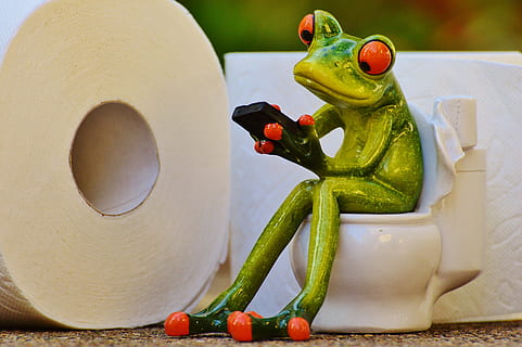 frø, sidder, bedrift, telefon figur, loo, session, sjov, toiletpapir, Toilet, nuttet, mobiltelefon, grøn, dyr, padde, mad og drikke, mad, repræsentation, ingen mennesker, sund kost, grøntsag, legetøj, menneskelig repræsentation, stilleben, tæt på, mandlig lighed, kreativitet, frugt, figur, velvære, Kunst og håndværk, bord, indendørs, friskhed, 4K, CC0, offentligt domæne, royaltyfrie