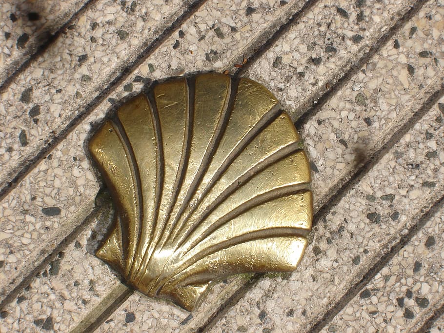 st jacques, shell, compostela, nikdo, detail, vzor, den, architektura, nástěnný prvek, vysoký úhel pohledu, stavba, texturou, venku, přímo nad, dřevo - materiál, Příroda, list, kov, jeden objekt, schodiště, stálý život, rostlinné části, design, beton, 1080P