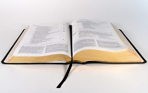 zbliżenie, otwarty, książka, dane, dokument, Edukacja, wiedza, umiejętności, literatura, strona, papier, poezja, Badania, badanie, tekst, publikacja, wewnątrz, żadnych ludzi, studio strzał, martwa natura, porozumiewanie się, wysoki kąt widzenia, okulary, pojedynczy obiekt, białe tło, uczenie się, dwa obiekty, studiować, podręcznik, 2K, CC0, domena publiczna, darmowe zdjęcia