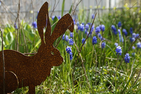 easter bunny, easter, easter sunday, hare, spring, spring festival, easter decoration, happy easter, easter decorations, easter theme, easter greetings, figure, decoration, deco, custom, easter greeting, plant, flower, flowering plant, nature, growth, no people, grass, animal representation, day, field, focus on foreground, representation, mammal, land, animal, outdoors, animal themes, green color, beauty in nature, purple, crocus, 5K, CC0, public domain, royalty free