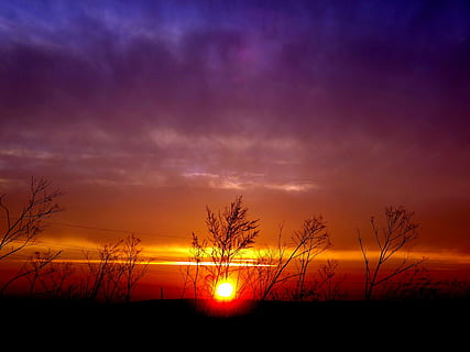 posta de sol, plantes, cel, núvol, sol, a la tarda, silueta, núvol - cel, bellesa a la natura, escenics - natura, tranquil·litat, escena tranquil·la, color taronja, paisatge, planta, cap gent, naturalesa, arbre, idíl·lic, cel dramàtic, retroil·luminat, medi ambient, a l'aire lliure, fosc, cel romàntic, 4K, CC0, domini públic, lliure de regalies