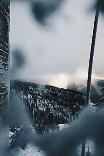udsigt, bjerg, træer, sne bjerg, overskyet, himmel, dagtimerne, is, glimt, Baude, vandre, kold temperatur, vinter, sne, ingen mennesker, scenics - natur, miljø, skønhed i naturen, natur, træ, rolig scene, sky - himmel, tåge, ro, landskab, plante, dag, ikke-urbane scene, Frosset, udendørs, snedækket bjerg, 4K, CC0, offentligt domæne, royaltyfrie