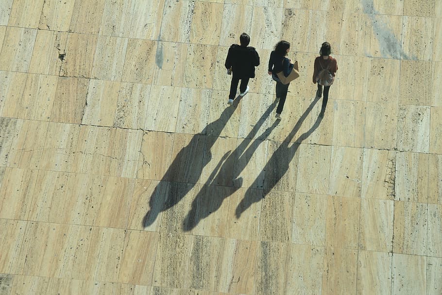 ombra, sole, luce, struttura, personale, due persone, vista dall'alto, legno - materiale, solidarieta, esercizio, persone reali, luce del sole, uomini, giorno, stili di vita, a piedi, gruppo di persone, natura, persone, all'aperto, adulto, sentiero, attività di svago, donne, lunga ombra - ombra, architettura, concentrarsi sull'ombra, 5K