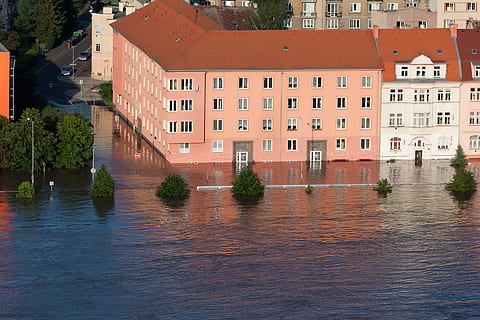 beige, malet, hus, hav, træer, dagtimerne, klima, fare, katastrofe, miljø, oversvømmelse, oversvømmelser, høj, natur, over, regn, flod, huse, gade, bygning under vand, vand, vejr, våd, arkitektur, bygning udvendig, bygget struktur, havnefronten, bygning, boligområde, by, ingen mennesker, dag, træ, plante, udendørs, afspejling, piblede, lejlighed, 1080P, CC0, offentligt domæne, royaltyfrie