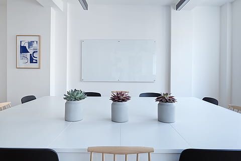 tre, saftige, planter, hvid, træ-, bord, inde, værelse, indre, stole, blomst, vase, væg, ramme, bestyrelse, kontor, indendørs, plante, potteplante, ingen mennesker, sæde, murbygningsfunktion, hvid farve, stol, natur, blomstrende plante, møbel, vindue, arkitektur, tom, dag, hjem interiør, fravær, stueplante, blomsterkrukke, luksus, 5K, CC0, offentligt domæne, royaltyfrie