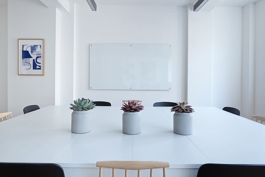 tre, succulento, piante, bianca, di legno, tavolo, dentro, camera, interno, sedie, fiore, vaso, parete, telaio, tavola, ufficio, in casa, pianta, pianta in vaso, nessuno, posto a sedere, caratteristica della parete, Colore bianco, sedia, natura, pianta fiorita, mobilia, finestra, architettura, vuoto, giorno, interno di casa, assenza, pianta della casa, vaso di fiori, lusso, 5K