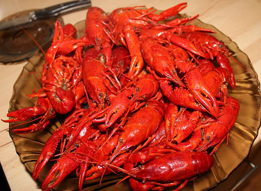 gamberi, gamberi cinesi, Gambero, Cinese, gamberi cinesi, frutti di mare, cibo e bevande, cibo, crostaceo, rosso, freschezza, nessuno, avvicinamento, mangiare sano, benessere, natura morta, vista dall'alto, in casa, grande gruppo di oggetti, colore arancione, contenitore, tavolo, abbondanza, cibo crudo, animale, vassoio, 4K