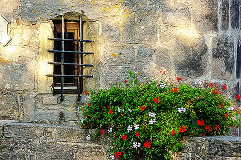 grå, murstens væg, ved siden af, grøn, rød, planter, vindue, rist, væg, forvitret, blomster, hauswand, arkitektur, gammel, blomst, murbygningsfunktion, hus, bygning udvendig, bygget struktur, blomstrende plante, plante, ingen mennesker, dag, bygning, vækst, natur, udendørs, friskhed, skønhed i naturen, Stenmur, blomsterkrukke, 2K, CC0, offentligt domæne, royaltyfrie