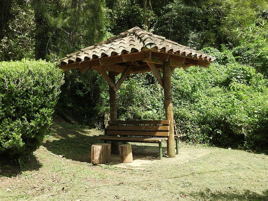 natura, parc, fulles, bosc, verd, naturalesa, parc, arbres verds, paisatge, arbre, muntanya, primavera, fusta, colorit, flors silvestres, naturalesa fresca, campament, arbres, bellesa, floració, tronc, prada, cel, jardí, bonic, color verd, material de fusta, a l'aire lliure, jardí formal, cap gent, banc, dia, arquitectura, planta, creixement, terra, estructura construïda, llum solar, tranquil·litat, parc - l'home va fer espai, bellesa a la natura, camp, herba, bé, 4K