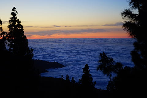 Sonnenuntergang, Nachglühen, Wolken, Himmel, Selva Marine, Teneriffa, Kanarische Inseln, Bäume, Wipfel, Silhouette, Baum, szenen, Natur, keine Leute, Szenen - Natur, Schönheit in der Natur, Wasser, Meer, Ruhe, Pflanze, ruhige Szene, Horizont über Wasser, Horizont, idyllisch, Land, wolke - himmel, Strand, draußen, 5K, CC0, gemeinfrei, lizenzfrei