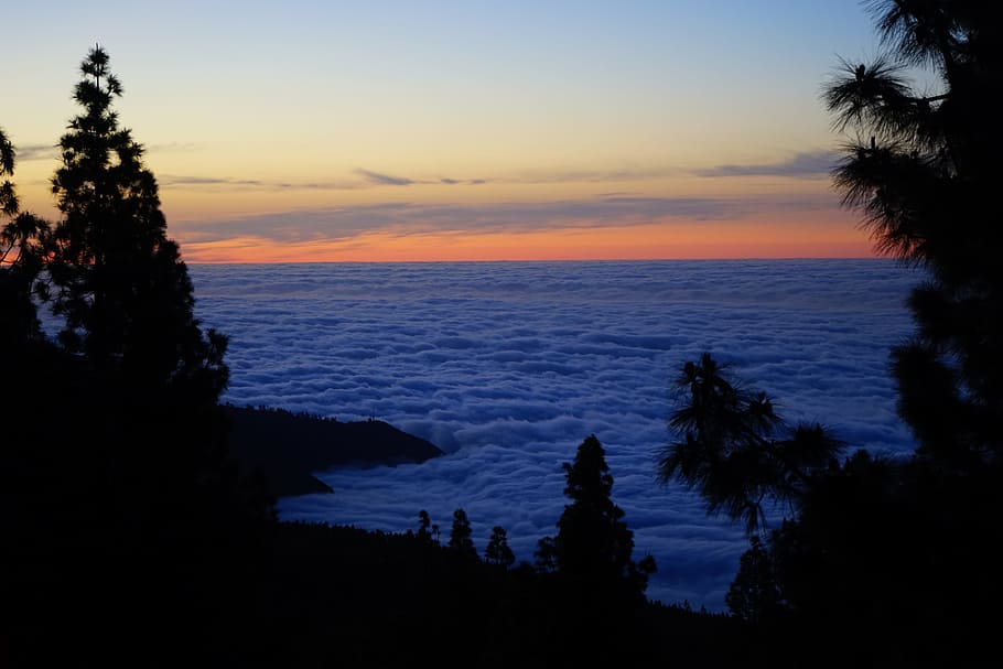 Sonnenuntergang, Nachglühen, Wolken, Himmel, Selva Marine, Teneriffa, Kanarische Inseln, Bäume, Wipfel, Silhouette, Baum, szenen, Natur, keine Leute, Szenen - Natur, Schönheit in der Natur, Wasser, Meer, Ruhe, Pflanze, ruhige Szene, Horizont über Wasser, Horizont, idyllisch, Land, wolke - himmel, Strand, draußen, 5K