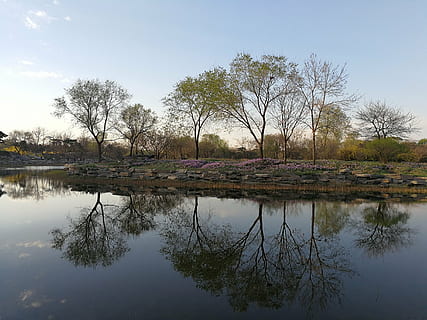 spring, lake, reflection, tree, nature, water, plant, sky, no people, tranquility, beauty in nature, scenics - nature, waterfront, outdoors, tranquil scene, day, standing water, cloud - sky, idyllic, symmetry, 4K, CC0, public domain, royalty free
