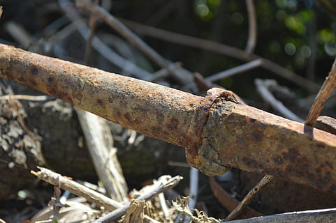 Roest, 朽, ijzer, roestig, verwoesting, verlaten, troosteloos, geen mensen, buitenshuis, dag, detailopname, natuur, focus op de voorgrond, zonlicht, metaal, selectieve aandacht, fabriek, boom, verweerde, oud, tak, land-, beschadigde, verouderd, afwijzen, verslechtering, geruïneerd, 4K, CC0, publiek domein, royaltyvrij